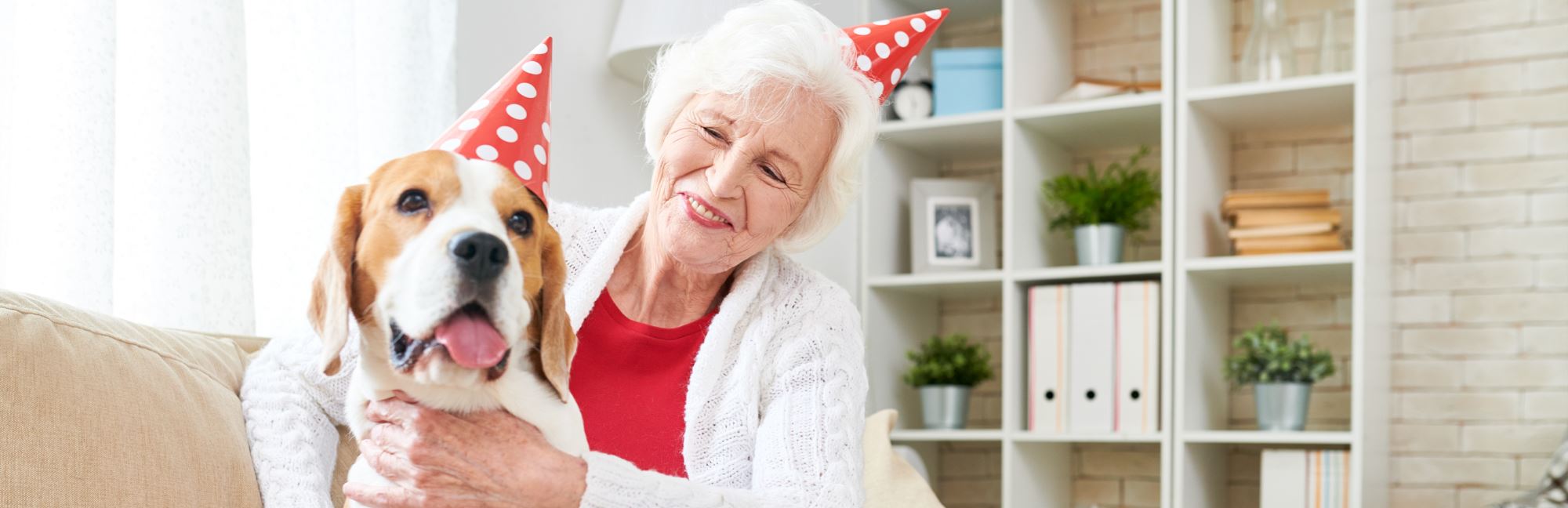 Holiday Gift Guide For Dog Lovers