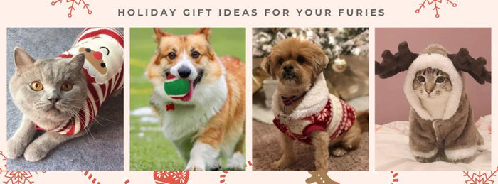 Holiday gift guide for pet lovers