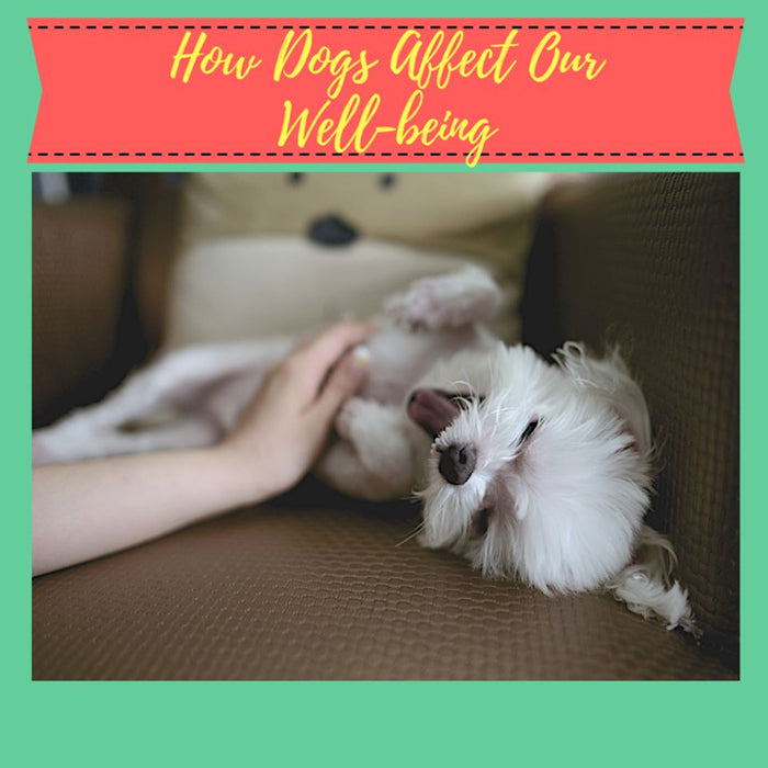How Dogs Affect Our Well-being