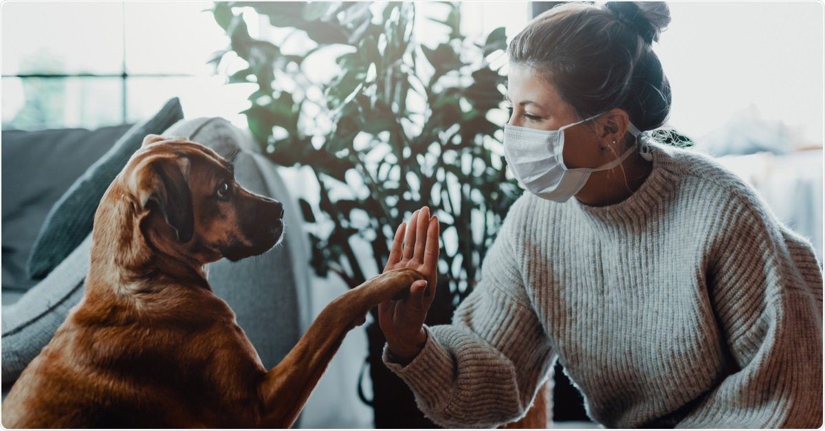 How our pets have helped us through a global pandemic