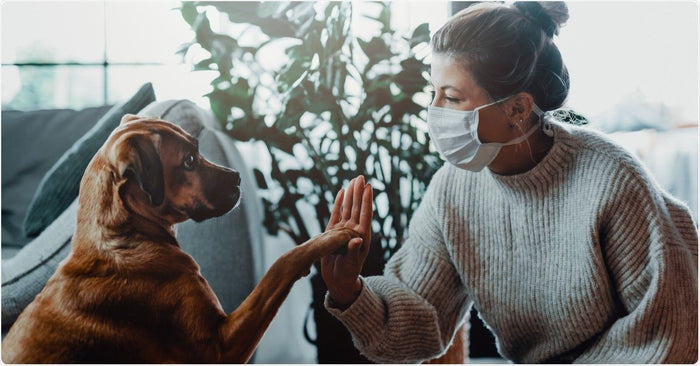 How our pets have helped us through a global pandemic