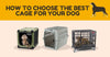 How to Choose The Best Cage For Your Dog