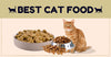How To Choose The Best Cat Food