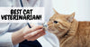 How To Choose The Best Veterinarian For Your Cat