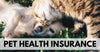 Is A Pet Health Insurance Worth It?