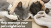 Is your pet having nightmares? And how can you help?