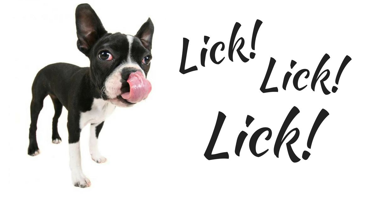 Licking is the New Hobby!