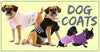 Lovely Reasons Why You Should Buy Dog Coats