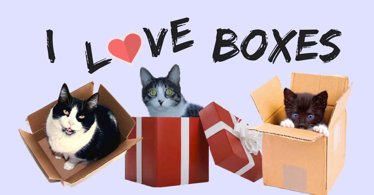 Loving the Boxes for my Own