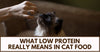 Low Protein Diets in Cats: What Do I Need To Know?