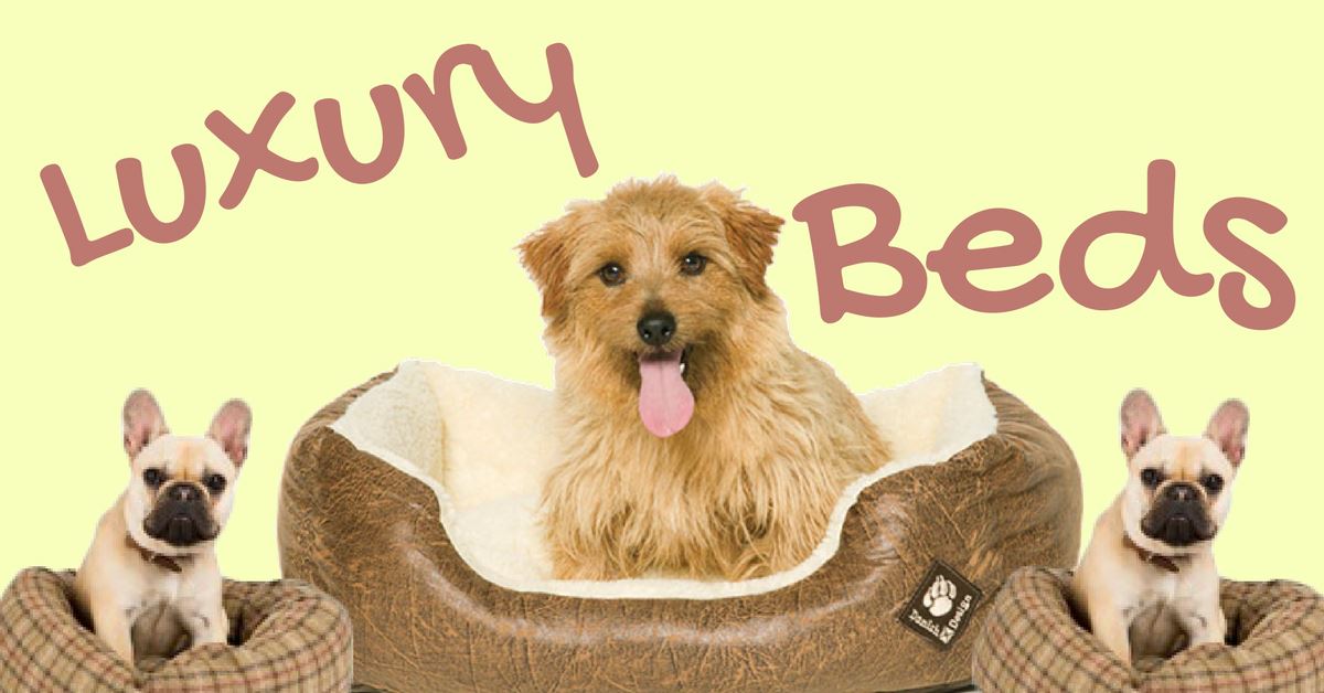 Luxury Dog Beds: Why are they important to Dogs?