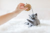 Our Most Popular Cat Toys