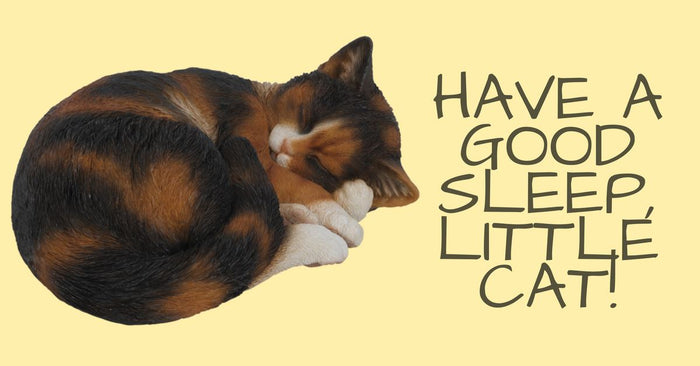 Should You Get A Cat Bed?