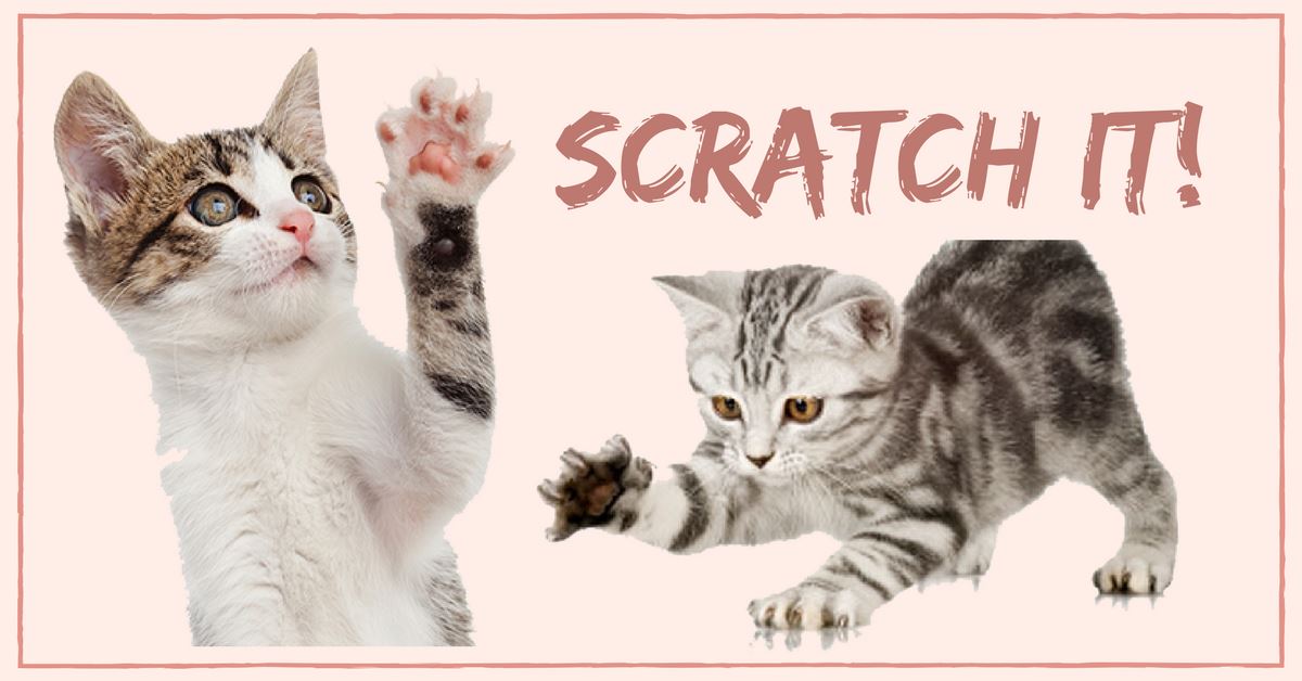 Simple Ways To Deal With Cat Scratch