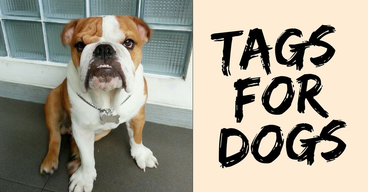 Tags For Dogs