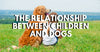 The Relationship Between Children And Dogs