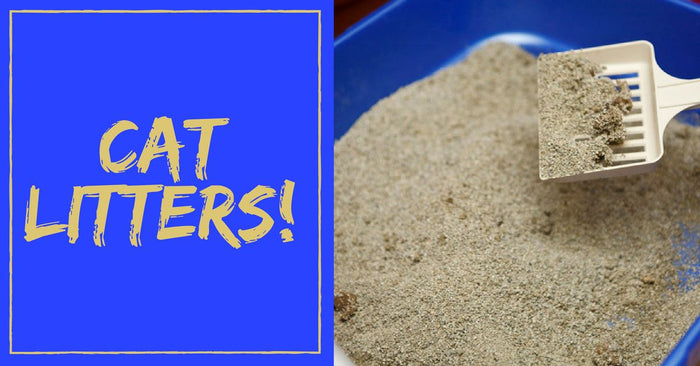 Tips for Cat Litters