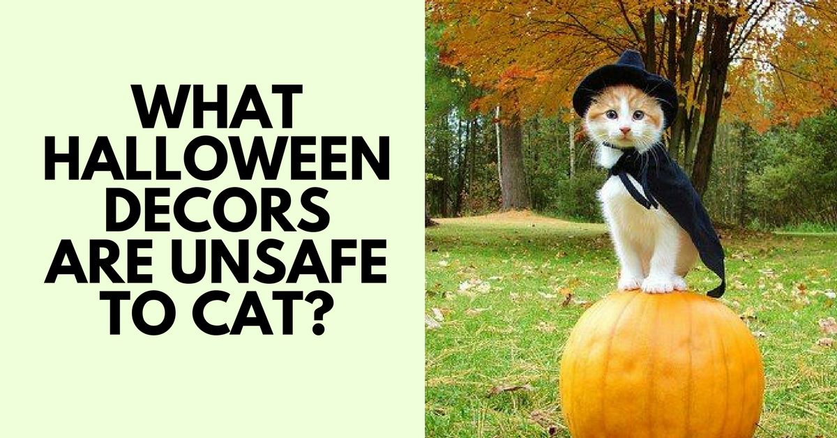What Halloween Decors Are Unsafe To Cats?