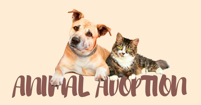 What Is Animal Adoption