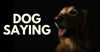 What Is Your Dog Saying?