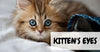 When Do Kitten’s Eyes Change Color?