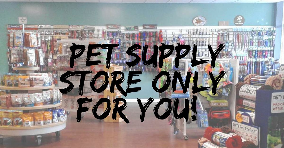 Which Is The Right Pet Supply Store For You?