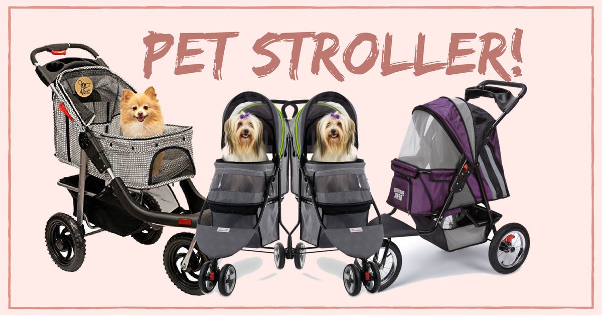 Why A Pet Stroller Is A Must Have!