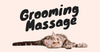 Why Grooming Massage for Cats is Beneficial