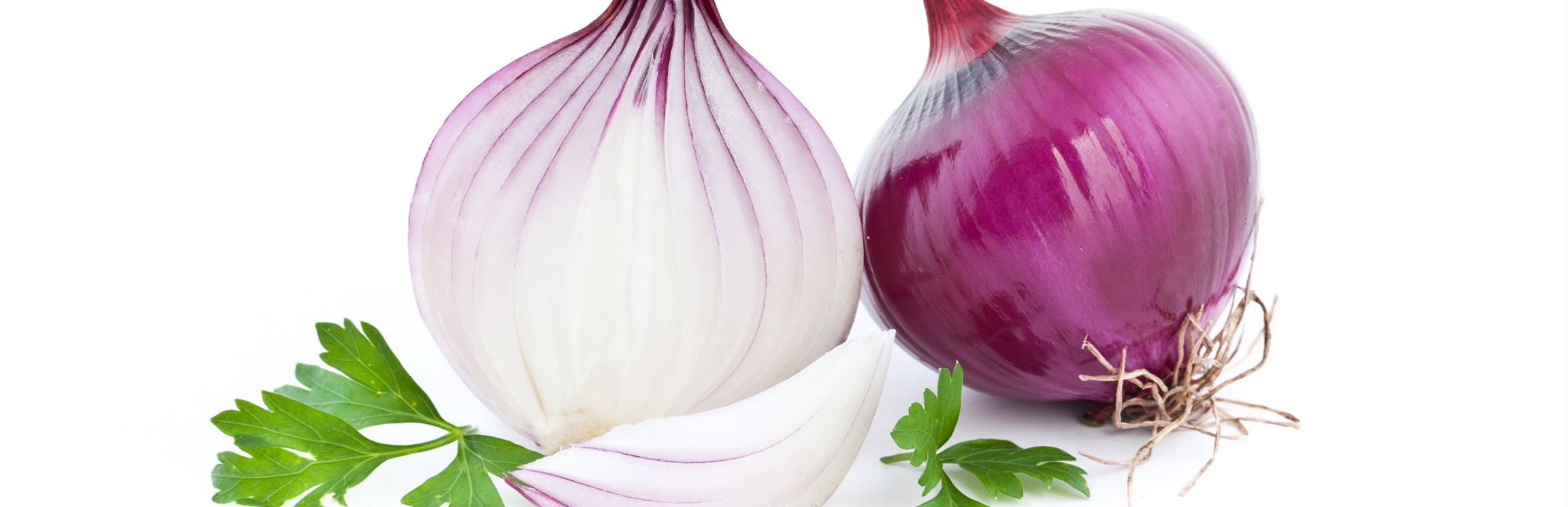 Why Pet's Cant Have Onions