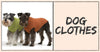 Why We Must Purchase Dog Clothes