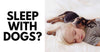 Why Would You Sleep With Dogs?