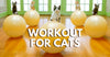 Workout For Cats