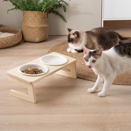 10° Tilted Wooden Stand Elevated Cat Food and Water Bowls with Thick Ceramic Dog Bowls & Feeders Pet Clever 