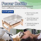 1.2 Gallon Raised Dog Water Bowl, Human Grade 18/8 Stainless Steel Dog Bowls & Feeders Pet Clever 