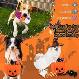 12 Pcs Halloween Pumpkin Set Halloween Dog Toys Toys Pet Clever 