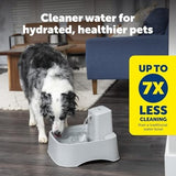 2 Gallon/256 oz Pet Water Bowl Dispenser Adjustable Flow Control Dog Bowls & Feeders Pet Clever 