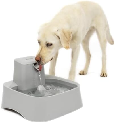 2 Gallon/256 oz Pet Water Bowl Dispenser Adjustable Flow Control Dog Bowls & Feeders Pet Clever 