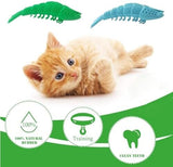 2 Pack Cat Toothbrush Catnip Toy Toothbrush Pet Clever 