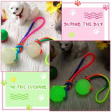2 Pcs Dog Training Ball on Rope Glow in The Dark Ball Toys Pet Clever 