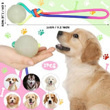 2 Pcs Dog Training Ball on Rope Glow in The Dark Ball Toys Pet Clever 