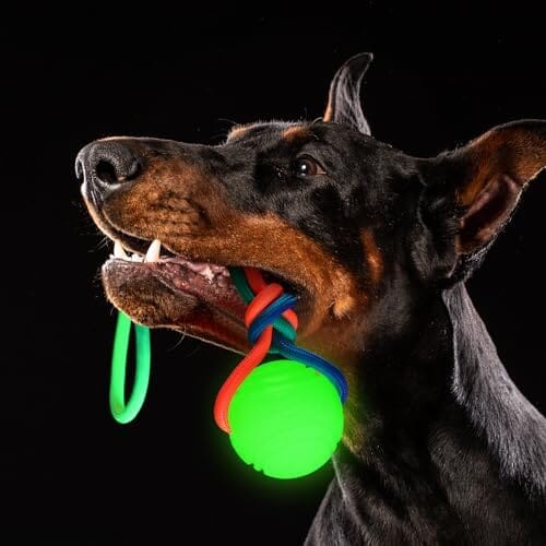2 Pcs Dog Training Ball on Rope Glow in The Dark Ball Toys Pet Clever 