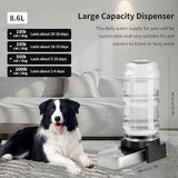 2.3 Gallon Automatic Gravity Pet Bowl for Dogs Medium to Large (3 Filters) Dog Bowls & Feeders Pet Clever 