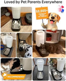 2.4 Gal Large Automatic Dog Water Bowl Dispenser with Filter Dog Bowls & Feeders Pet Clever 