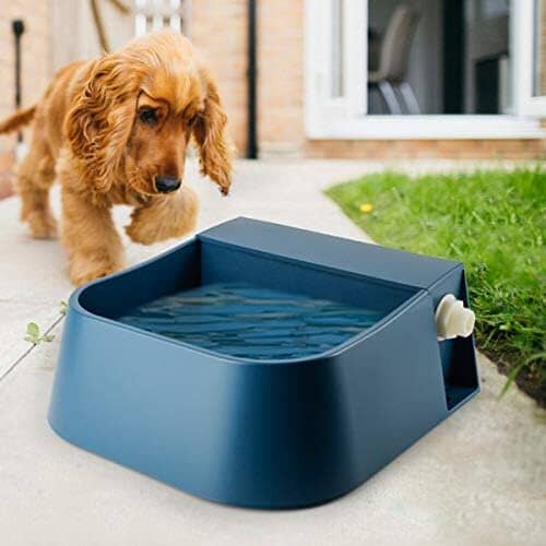 2L Automatic Water Bowl for Dogs Dog Bowls & Feeders Pet Clever 