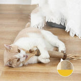 2PCS Extra Large Catnip Chew Toy Cat Toys Pet Clever 