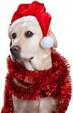 2Pcs Mini Dog Santa Hat for Dog Cat Clothing Pet Clever 