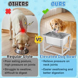3 Gallons Large Elevated Dog Water Bowl - 11.5'' H Sturdy Stainless Steel Raised Dog Bowl with Stand Dog Bowls & Feeders Pet Clever 