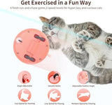 3 in 1 Interactive Cat Feather Toy with LED Light Cat Pet Clever 
