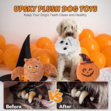 3 Pack Interactive Dog Chew Toys with Clean Teeth Toys Pet Clever 