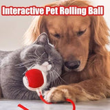 360° Smart Automatic Rolling Pet Ball Toys Pet Clever 